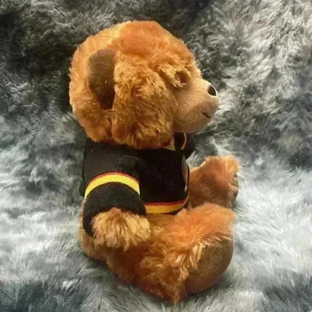 Vancouver Canucks NHL Hockey
Jersey Teddy Bear Plush by Forever
Collectibles - Picture 3 of 15